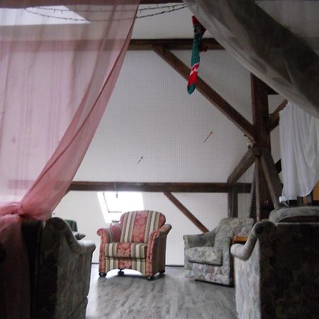 Cuibul Salamandrelor Hotel Sarmizegetusa Luaran gambar