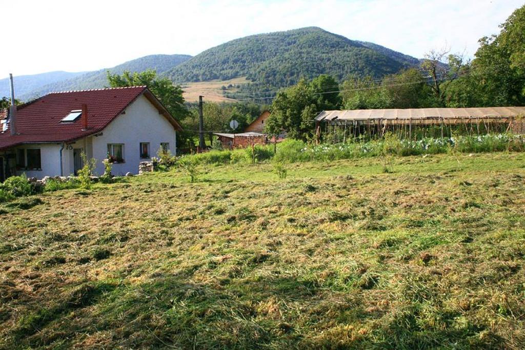 Cuibul Salamandrelor Hotel Sarmizegetusa Luaran gambar