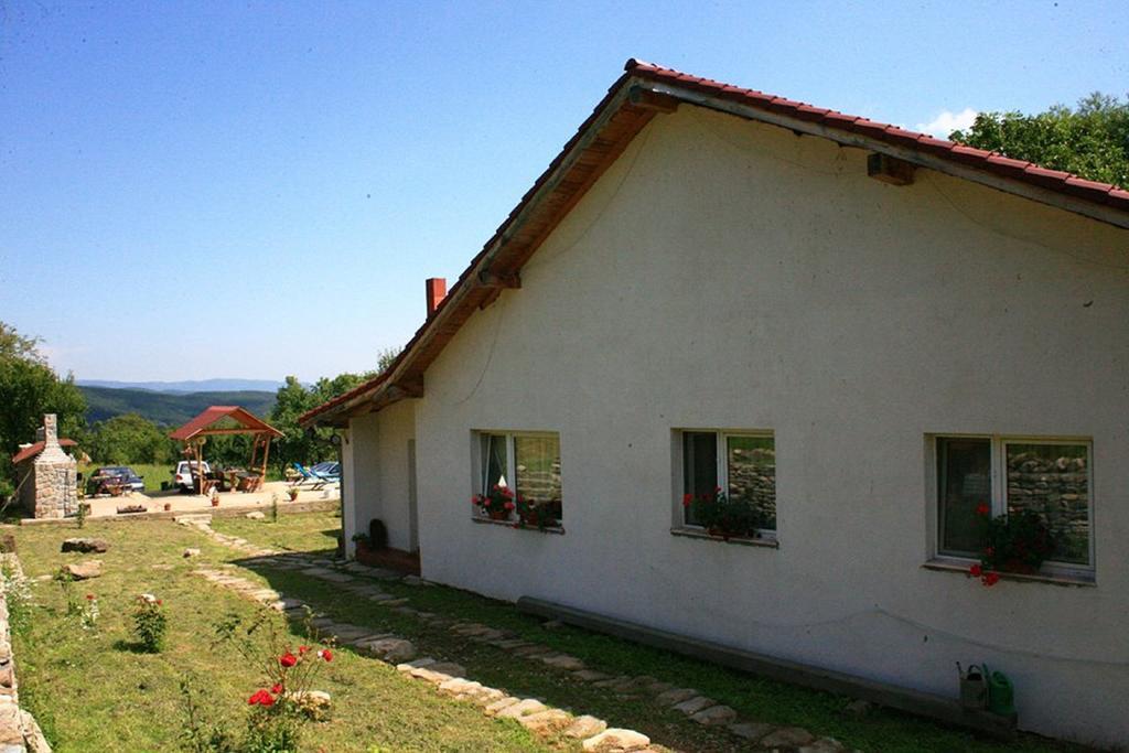 Cuibul Salamandrelor Hotel Sarmizegetusa Luaran gambar