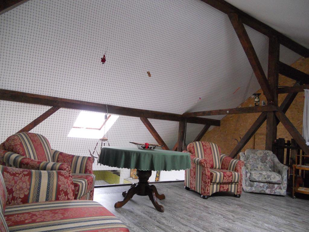 Cuibul Salamandrelor Hotel Sarmizegetusa Luaran gambar