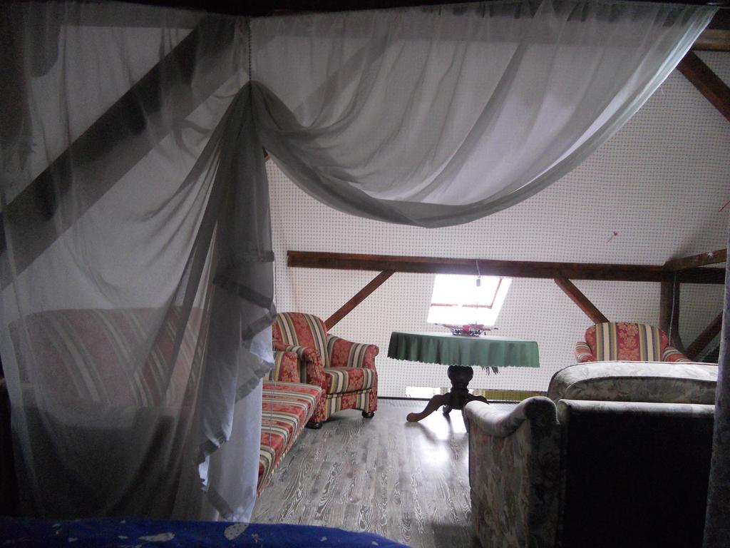 Cuibul Salamandrelor Hotel Sarmizegetusa Luaran gambar