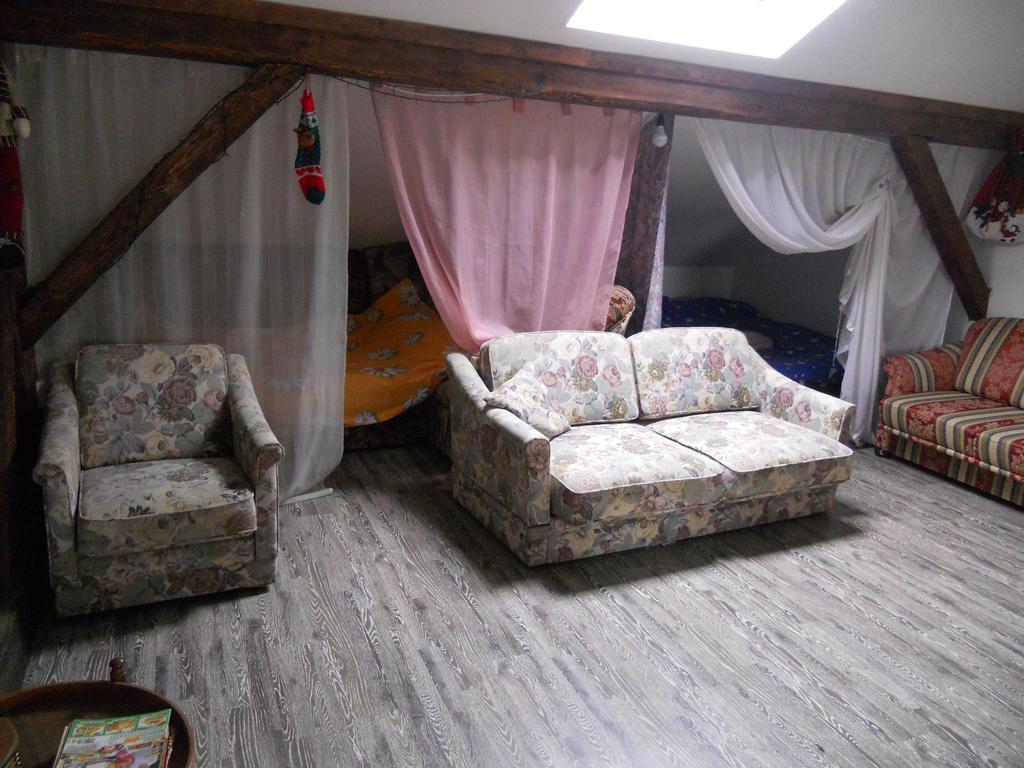 Cuibul Salamandrelor Hotel Sarmizegetusa Luaran gambar