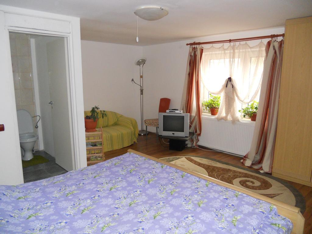 Cuibul Salamandrelor Hotel Sarmizegetusa Luaran gambar