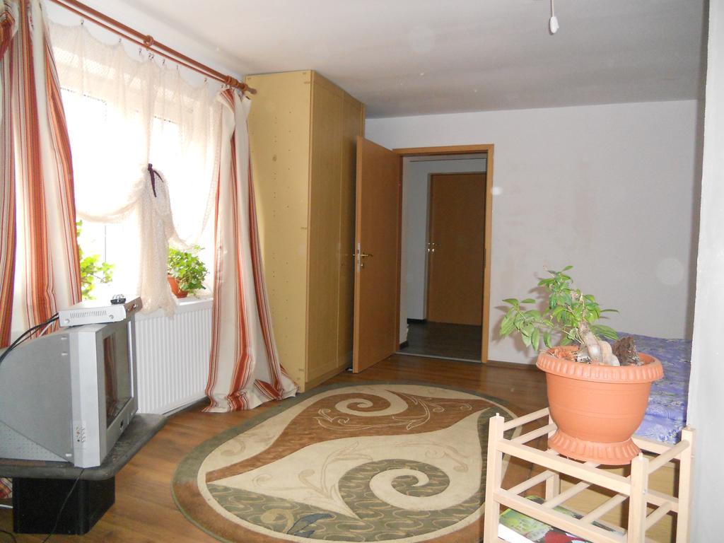 Cuibul Salamandrelor Hotel Sarmizegetusa Luaran gambar