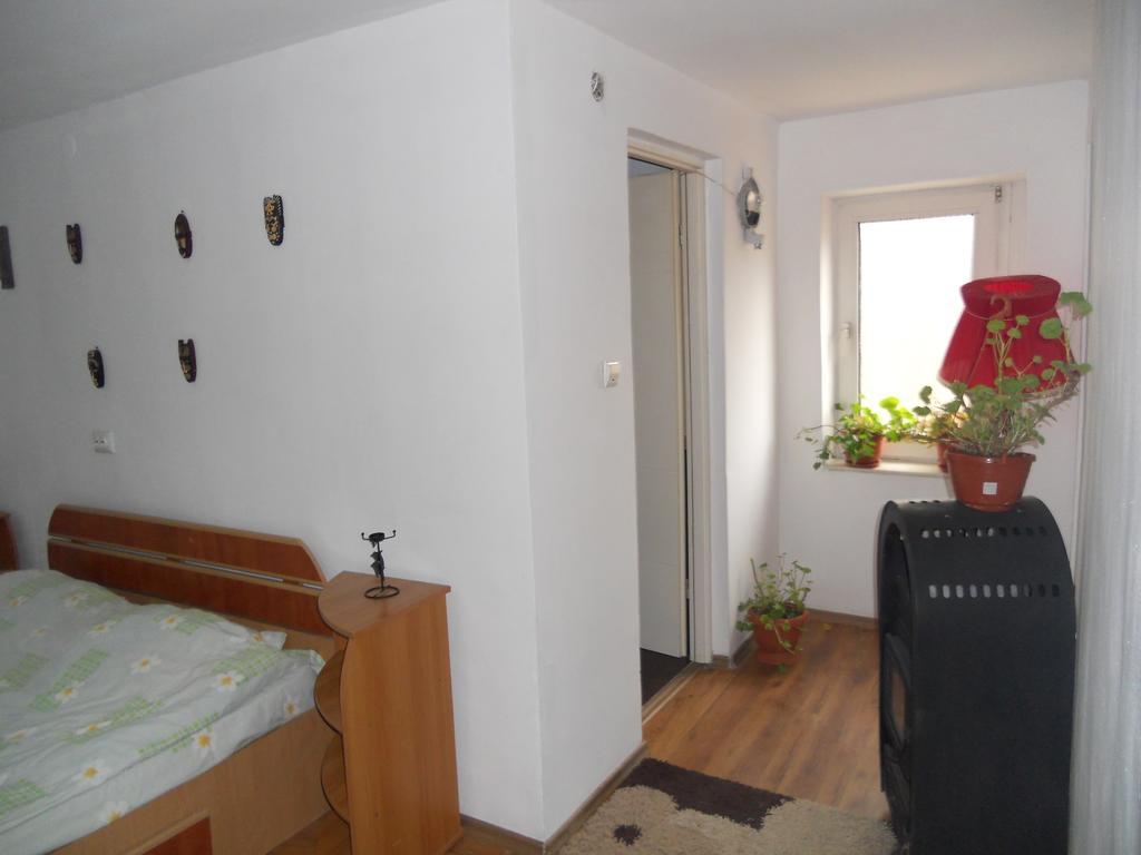 Cuibul Salamandrelor Hotel Sarmizegetusa Luaran gambar