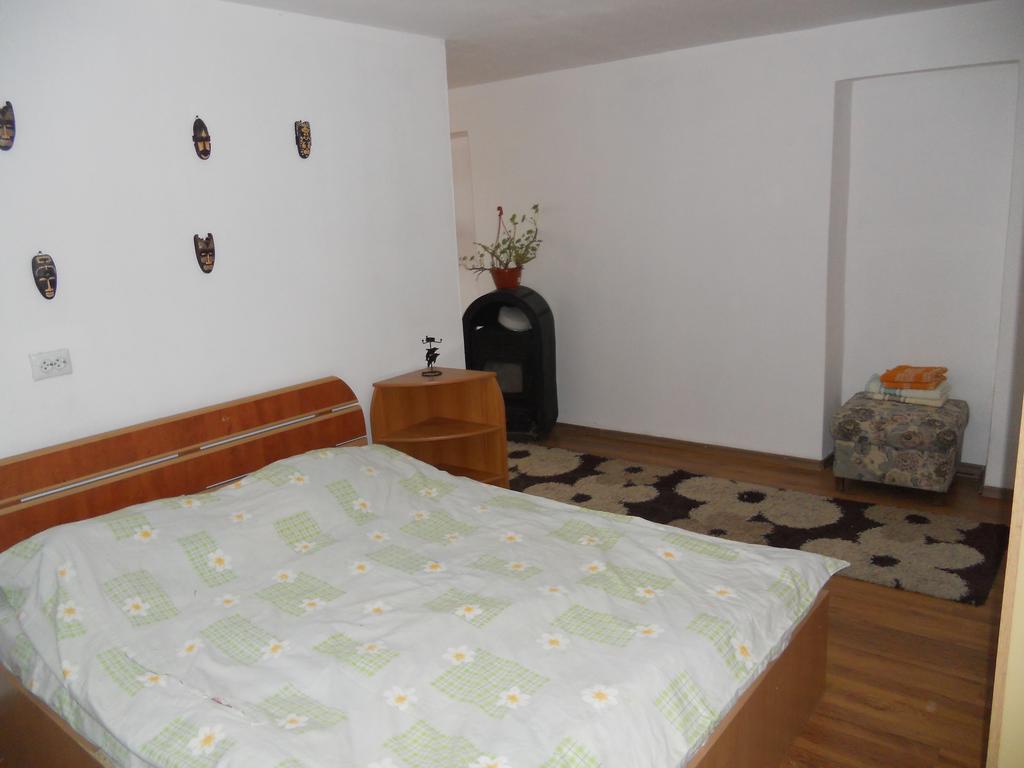 Cuibul Salamandrelor Hotel Sarmizegetusa Luaran gambar