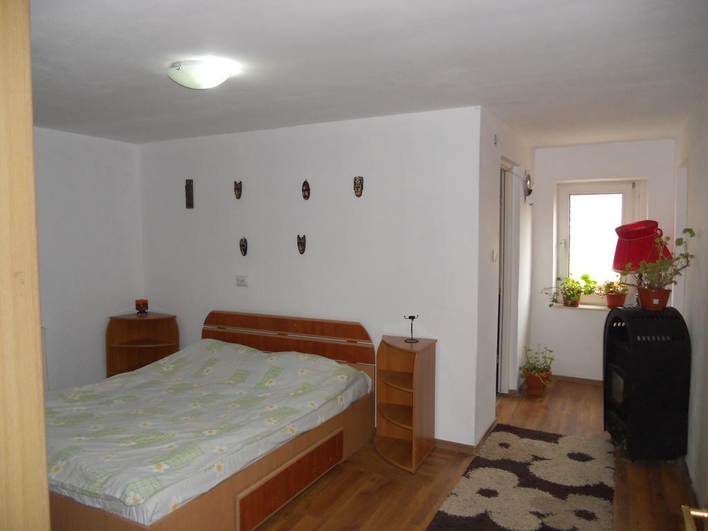 Cuibul Salamandrelor Hotel Sarmizegetusa Luaran gambar