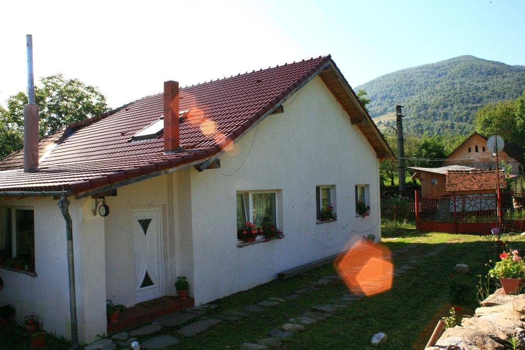 Cuibul Salamandrelor Hotel Sarmizegetusa Luaran gambar