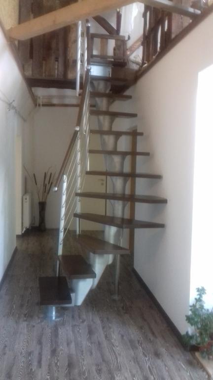 Cuibul Salamandrelor Hotel Sarmizegetusa Luaran gambar